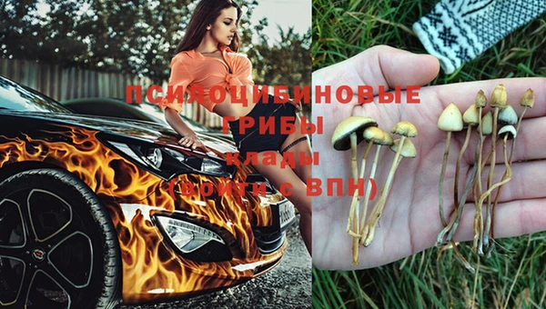 первитин Новозыбков