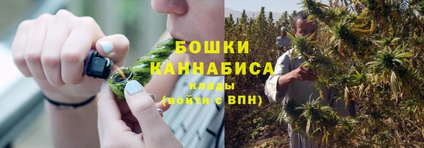 первитин Новозыбков