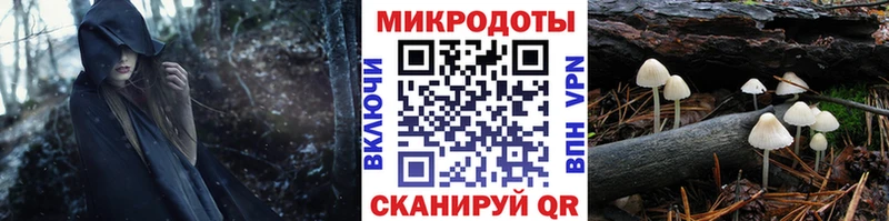 Псилоцибиновые грибы MAGIC MUSHROOMS  купить закладку  Юрьев-Польский 