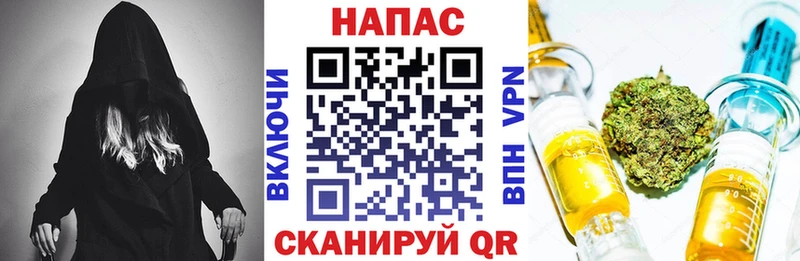Конопля MAZAR  Юрьев-Польский 